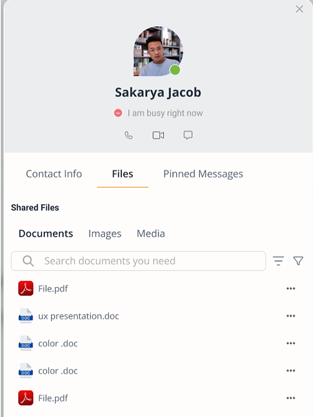 Direct message Profile modal on the Files tab