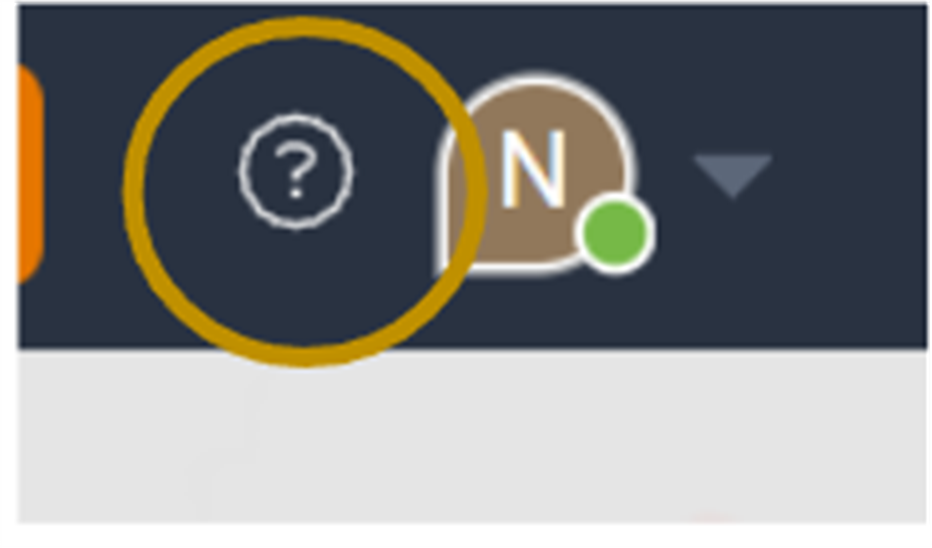 Profile Icon Menu